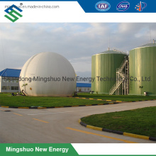 PVDF Biogas Storage Balloon for Combined Heat and Power Project
